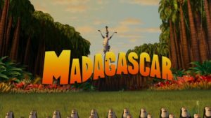 マダガスカル１５